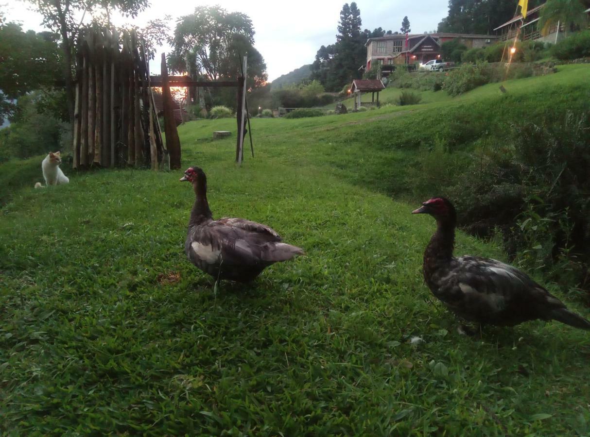 Estalagem Reserva Da Collina Gramado Buitenkant foto